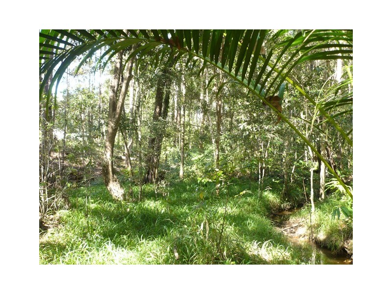 28 Sugargum Place, Black Mountain QLD 4563