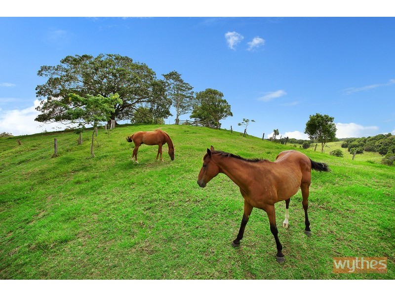 85 Evans Road, Cooroy QLD 4563