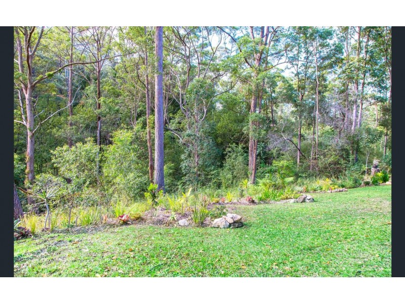 24 William Road, Eumundi QLD 4562