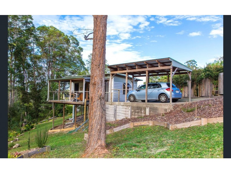 24 William Road, Eumundi QLD 4562