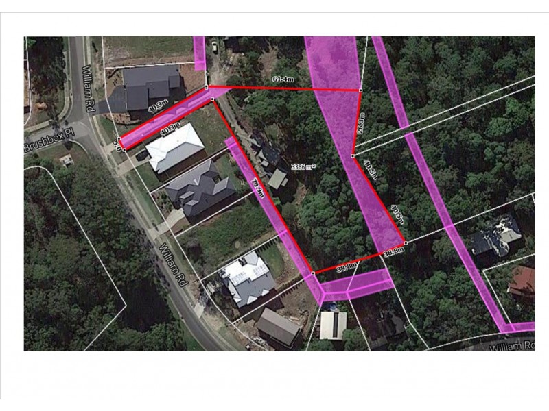 24 William Road, Eumundi QLD 4562