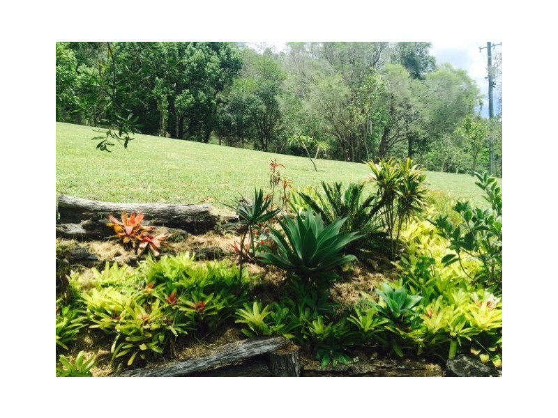 359 Cooroy Belli Creek Road, Cooroy QLD 4563