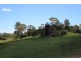 124 Blanckensee Road, Black Mountain QLD 4563