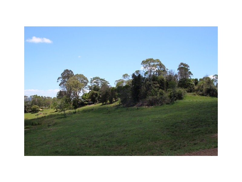 124 Blanckensee Road, Black Mountain QLD 4563