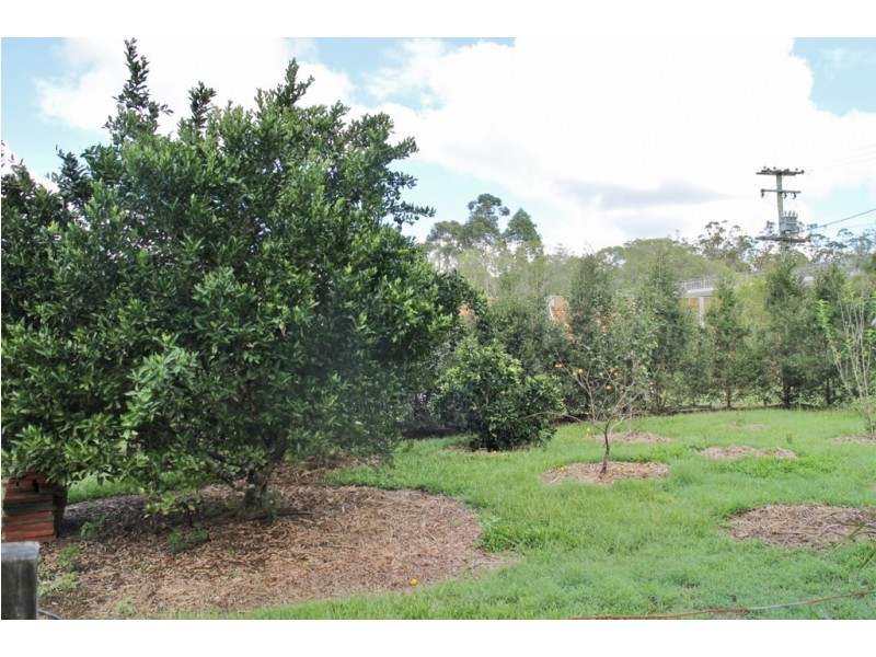 181 Mary River Road, Cooroy QLD 4563