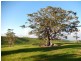 L13/369-387 Cooroy Mountain Road, Cooroy Mountain QLD 4563