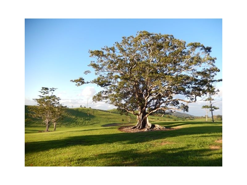 L13/369-387 Cooroy Mountain Road, Cooroy Mountain QLD 4563