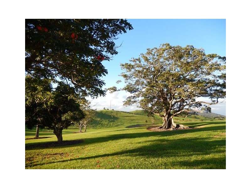 L13/369-387 Cooroy Mountain Road, Cooroy Mountain QLD 4563