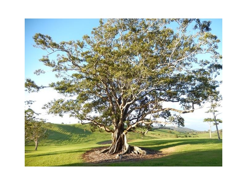L13/369-387 Cooroy Mountain Road, Cooroy Mountain QLD 4563