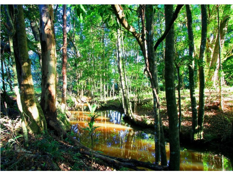 122 Lawnville Road, Black Mountain QLD 4563