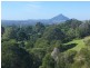 226 Black Mountain Range Road, Black Mountain QLD 4563
