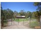 50 Ponderosa Drive, Cooroy QLD 4563