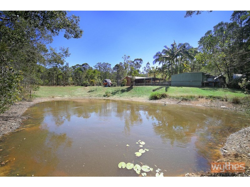 50 Ponderosa Drive, Cooroy QLD 4563