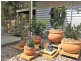24 William Road, Eumundi QLD 4562
