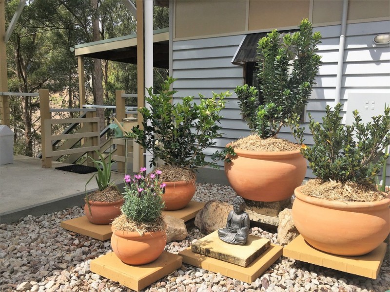 24 William Road, Eumundi QLD 4562