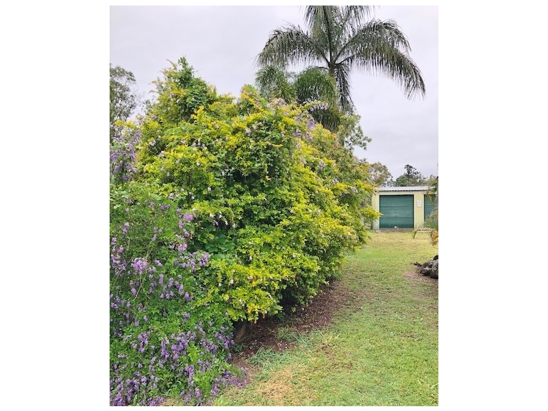 43 Overlander Avenue, Cooroy QLD 4563