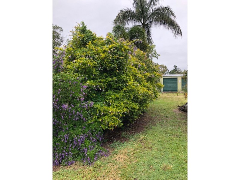 43 Overlander Avenue, Cooroy QLD 4563