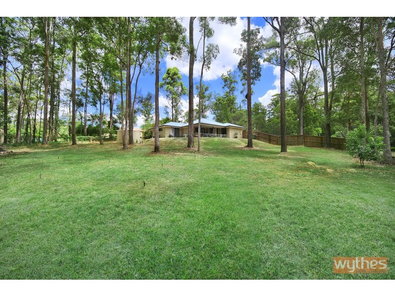 59 Blueberry Drive, Black Mountain QLD 4563