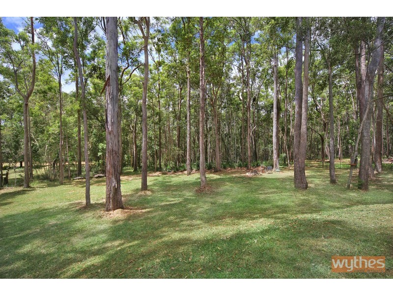 59 Blueberry Drive, Black Mountain QLD 4563