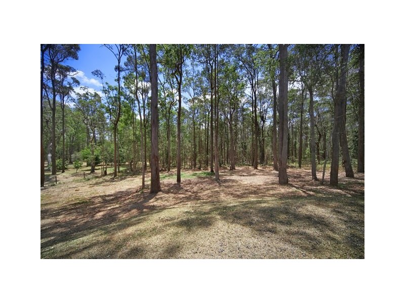 59 Blueberry Drive, Black Mountain QLD 4563