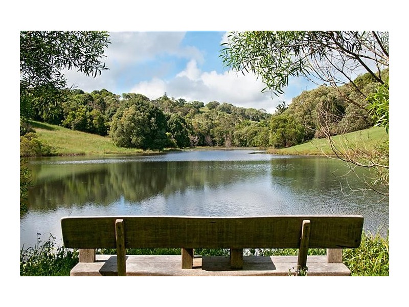 60 Belleden Place, Cooroy QLD 4563
