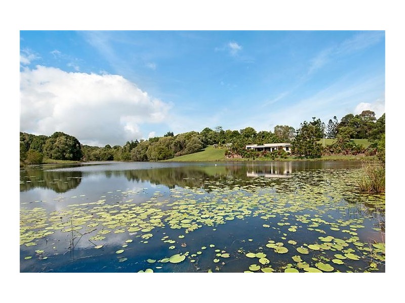 60 Belleden Place, Cooroy QLD 4563