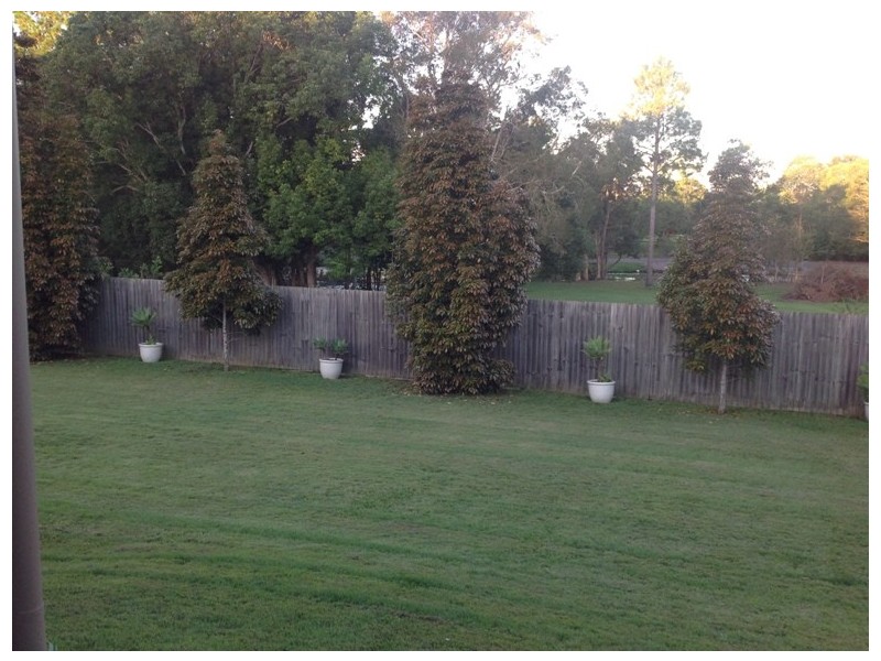 16 Pinbarren Court, Cooroy QLD 4563