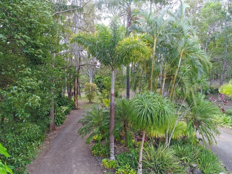 50 Evans Road, Black Mountain QLD 4563