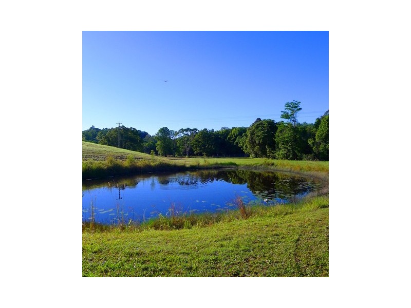 218 Cooroy Belli Creek Road, Cooroy QLD 4563