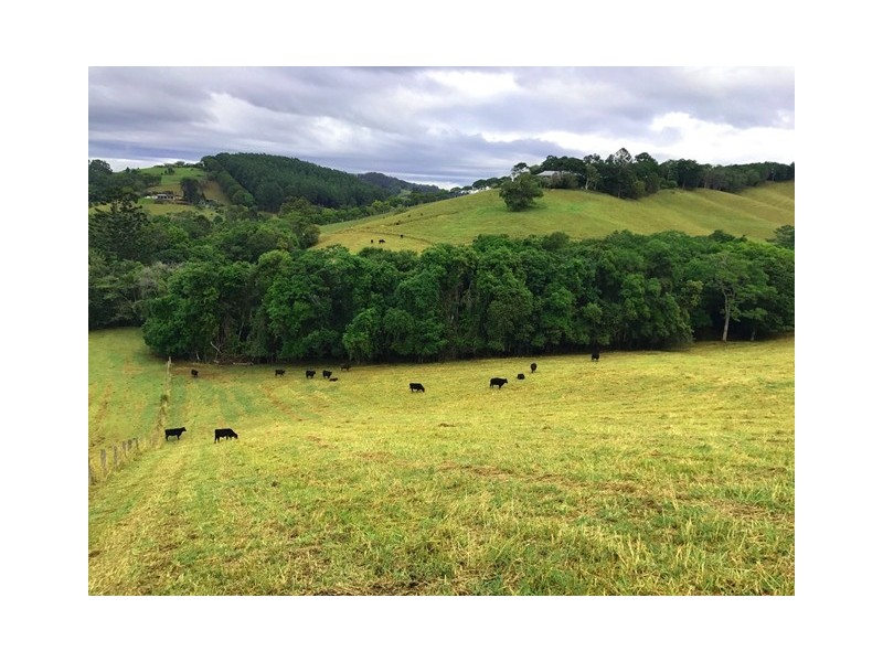 218 Cooroy Belli Creek Road, Cooroy QLD 4563