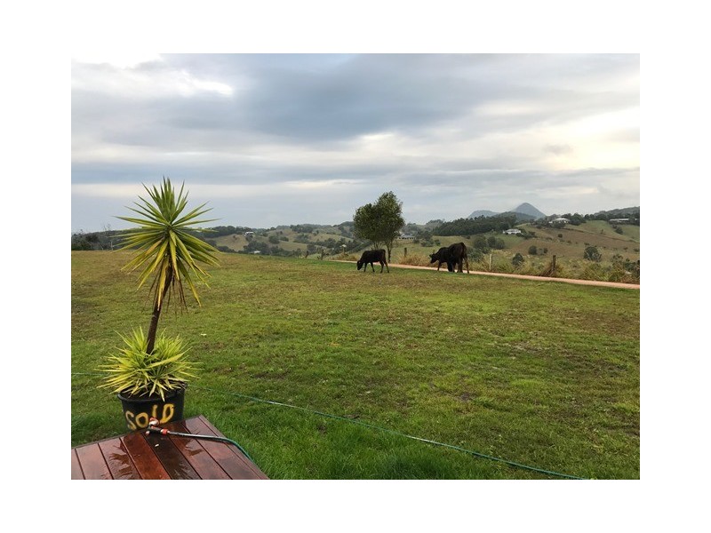 218 Cooroy Belli Creek Road, Cooroy QLD 4563