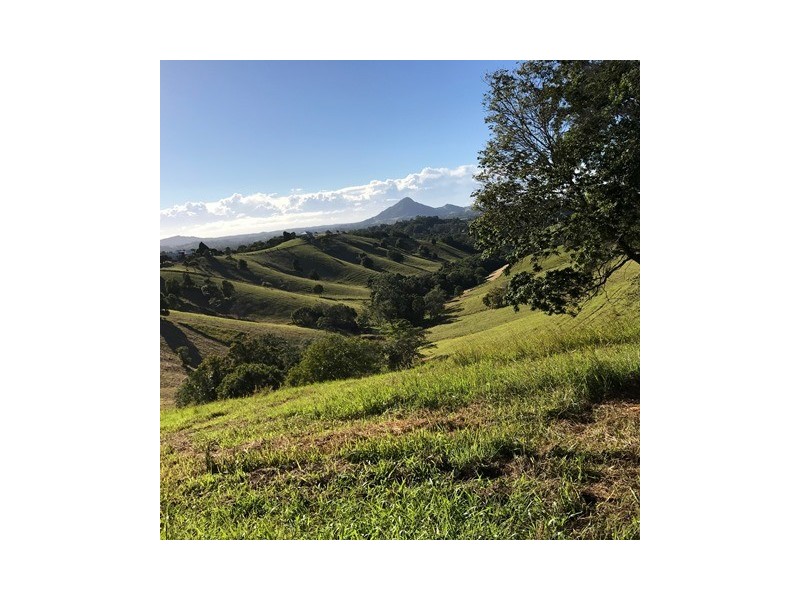 218 Cooroy Belli Creek Road, Cooroy QLD 4563