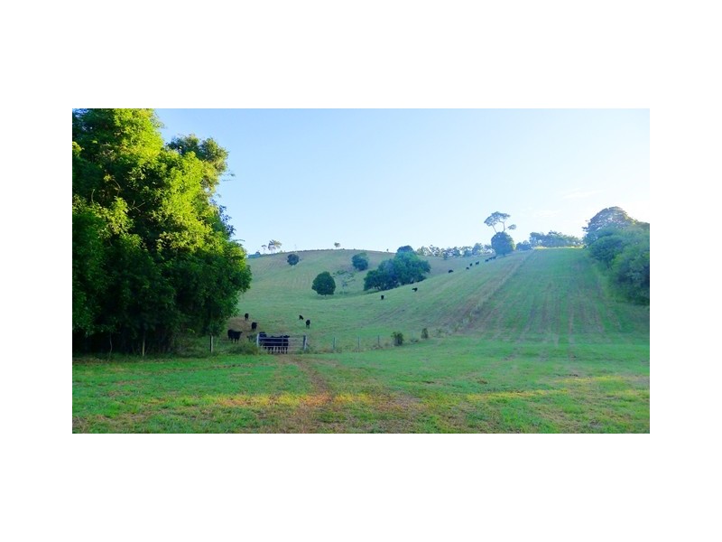 218 Cooroy Belli Creek Road, Cooroy QLD 4563