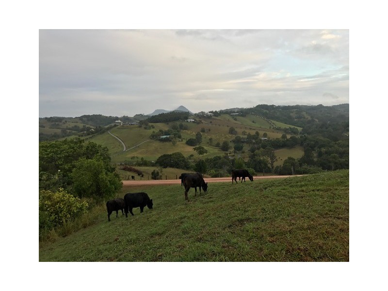 218 Cooroy Belli Creek Road, Cooroy QLD 4563