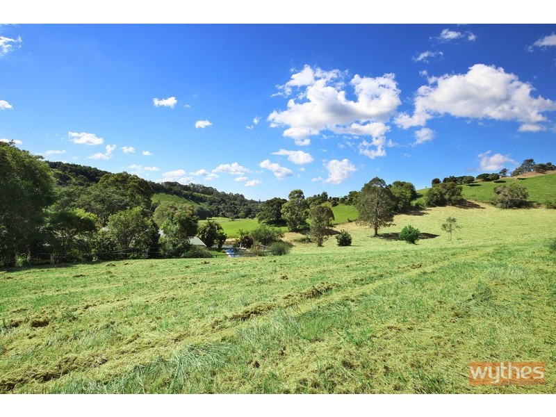 275 Cooroy Belli Creek Road, Cooroy QLD 4563
