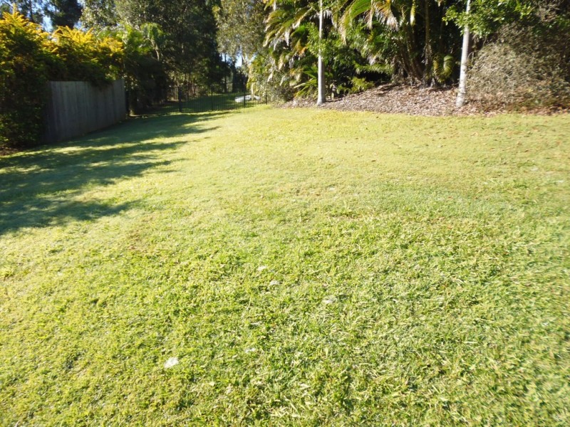 214 BLUEBERRY DRIVE, Black Mountain QLD 4563