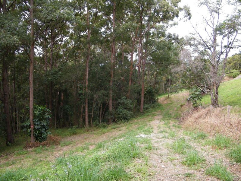 20 Martha Lane, Verrierdale QLD 4562