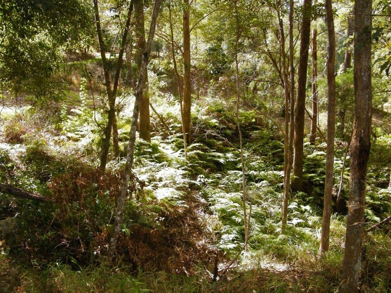 20 Martha Lane, Verrierdale QLD 4562