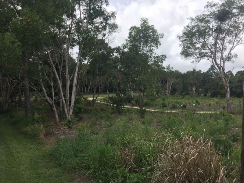 8 Brialka Court, Cooroy QLD 4563