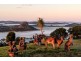303 Tablelands Road, Cooran QLD 4569