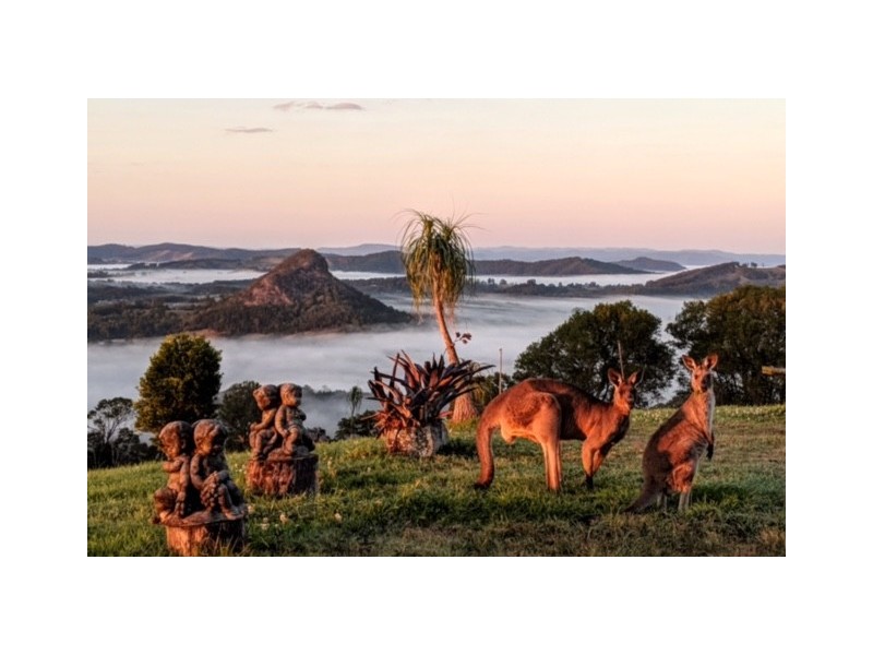 303 Tablelands Road, Cooran QLD 4569