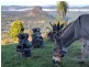303 Tablelands Road, Cooran QLD 4569