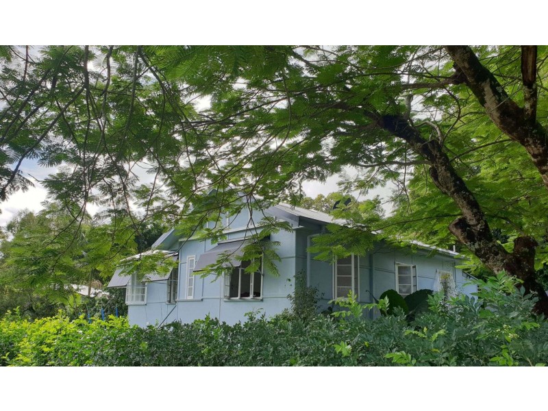 31 Kauri Street, Cooroy QLD 4563