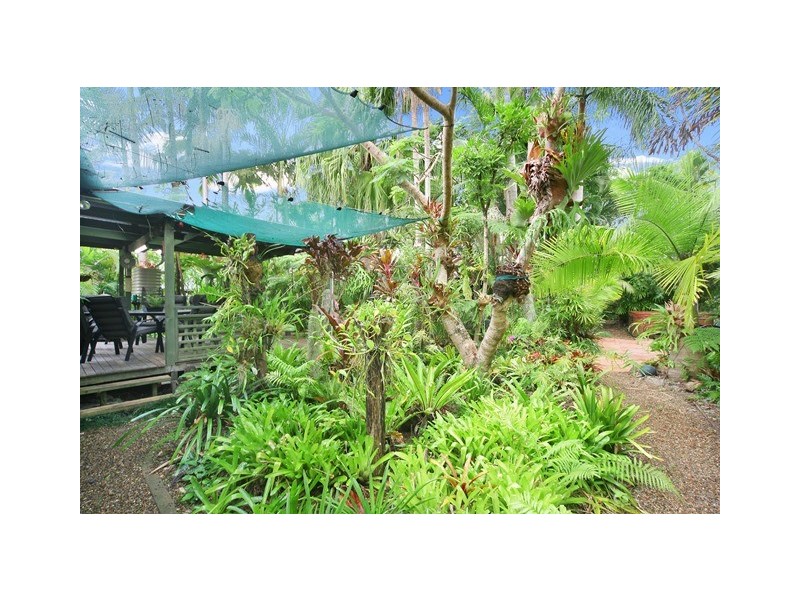 6 Pearl Street, Cooroy QLD 4563