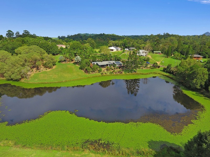 60 Belleden Place, Cooroy QLD 4563