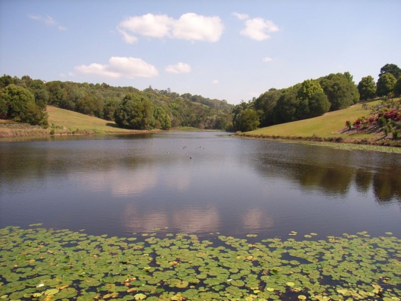 60 Belleden Place, Cooroy QLD 4563