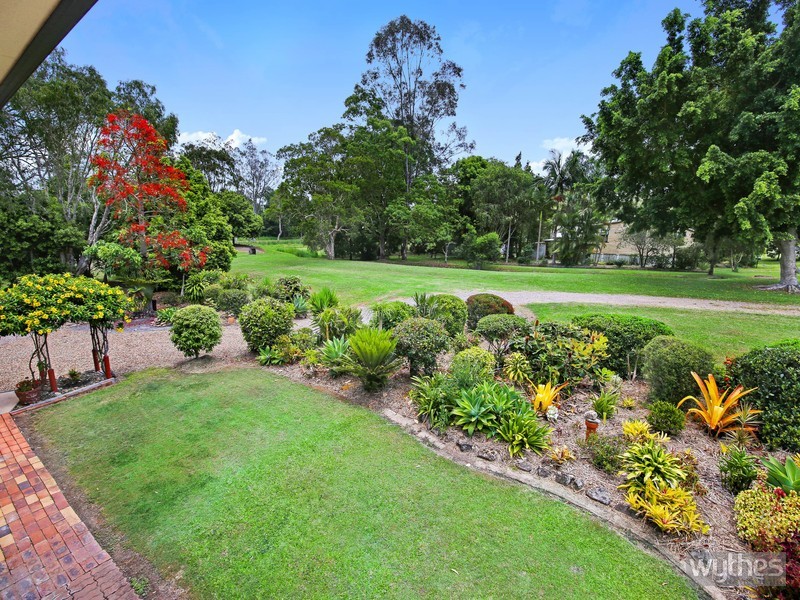 38 Kauri Street, Cooroy QLD 4563