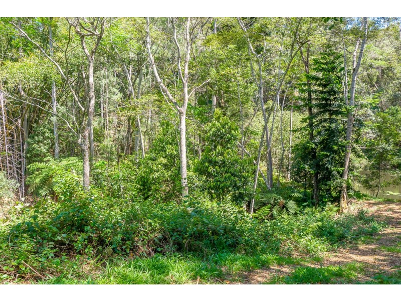 388 Old Ceylon Road, Ridgewood QLD 4563