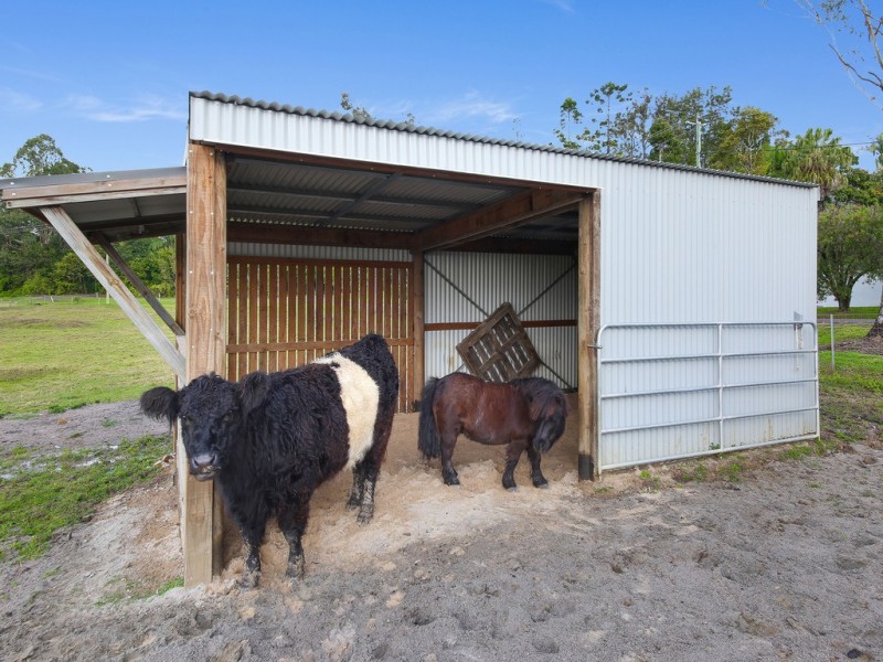 1 Elizabeth Street, Eumundi QLD 4562