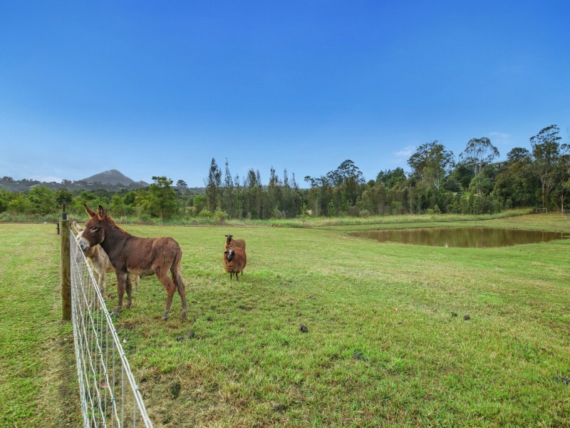 1 Elizabeth Street, Eumundi QLD 4562